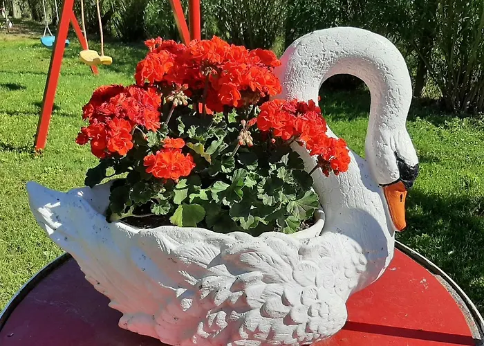 La Cupoletta Casa Vacanze